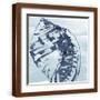 Brown Frame