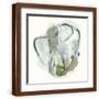 Brown Frame