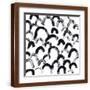 Brown Frame