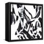 Canvas Black