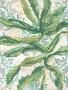 Laminate