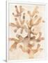 Gramercy White
