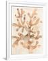 Gramercy White