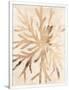 Gramercy White