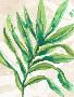 Just the Print