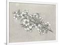 Gramercy White