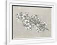 Gramercy White