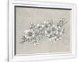 Gramercy White