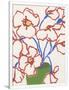 Gramercy White