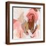 Brown Frame