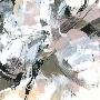 Laminate