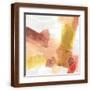 Brown Frame
