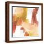 Brown Frame
