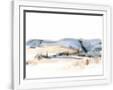 Gramercy White
