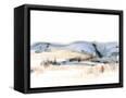 Canvas Black
