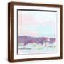 Brown Frame