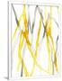 Gramercy White
