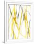Gramercy White