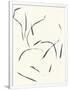 Gramercy White