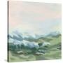 Stretched Canvas