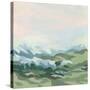 Stretched Canvas