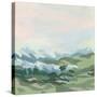 Stretched Canvas
