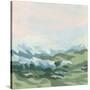 Stretched Canvas
