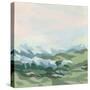 Stretched Canvas