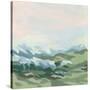 Stretched Canvas