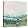 Stretched Canvas