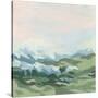 Stretched Canvas