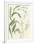 Gramercy White
