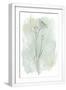 White Frame