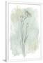 Gramercy White