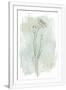 Gramercy White