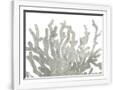Gramercy White