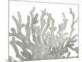 Wood Mount