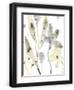 Chelsea Black