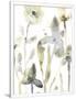 Gramercy White