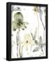 Essential Black