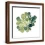 Brown Frame