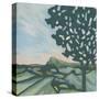 Stretched Canvas