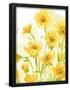 Essential Black