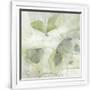 Gramercy White