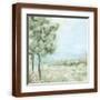 Brown Frame