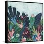 Canvas Black