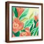 Brown Frame