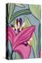 Stretched Canvas