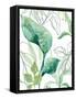 Canvas Black
