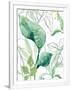 Gramercy White